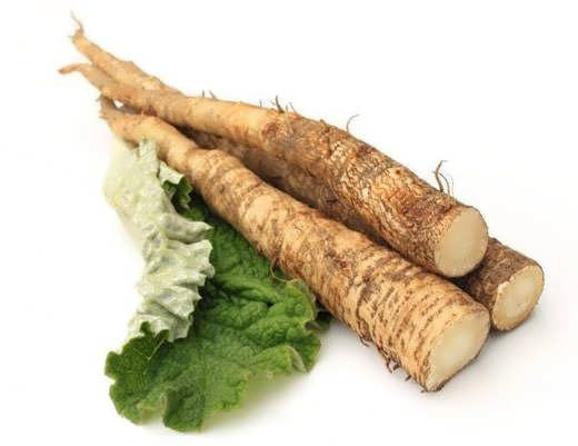 Экстракт корня лопуха масляный