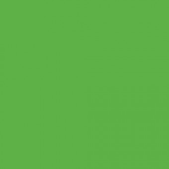 Гелевый краситель Неоново-Зеленый