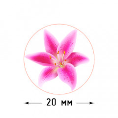 Наклейка Цветок 891234