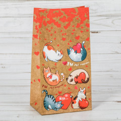 Пакет Ты и я, без ручек