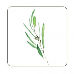 Наклейка прозрачная "Эвкалипт с семенами" 891153