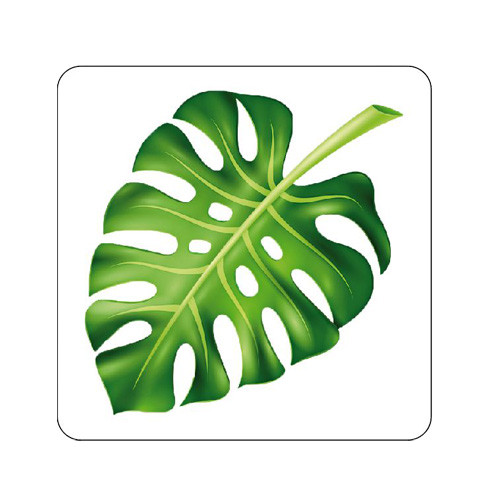 Наклейка прозрачная "Монстера" 891156