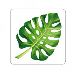 Наклейка прозрачная "Монстера" 891156