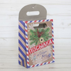 Пакет Посылка от Деда Мороза